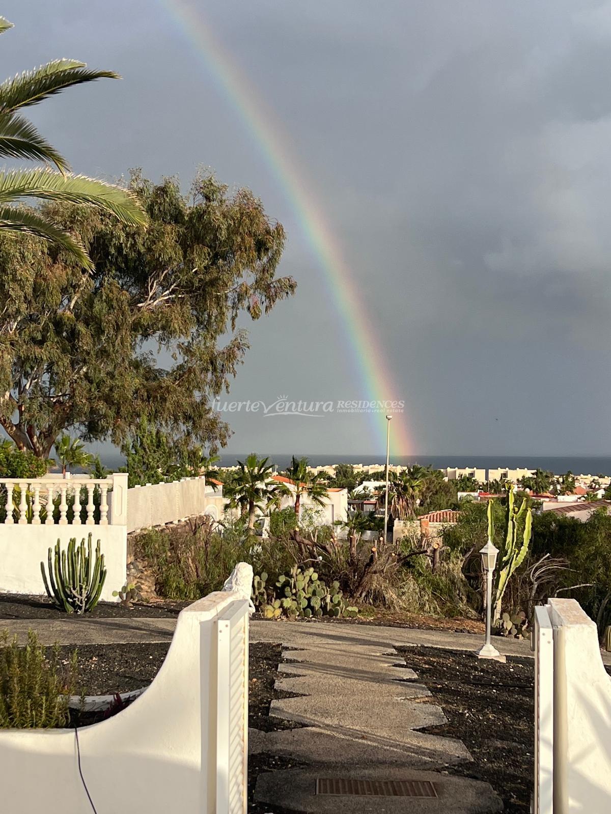 WhatsApp Image 2026-02-07 at 19.40.42 (4)