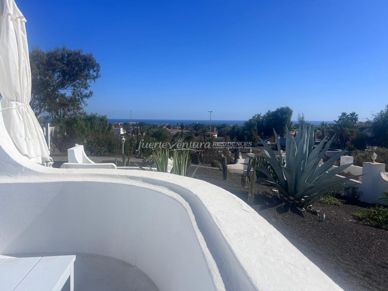 WhatsApp Image 2026-02-07 at 19.40.43 (3)