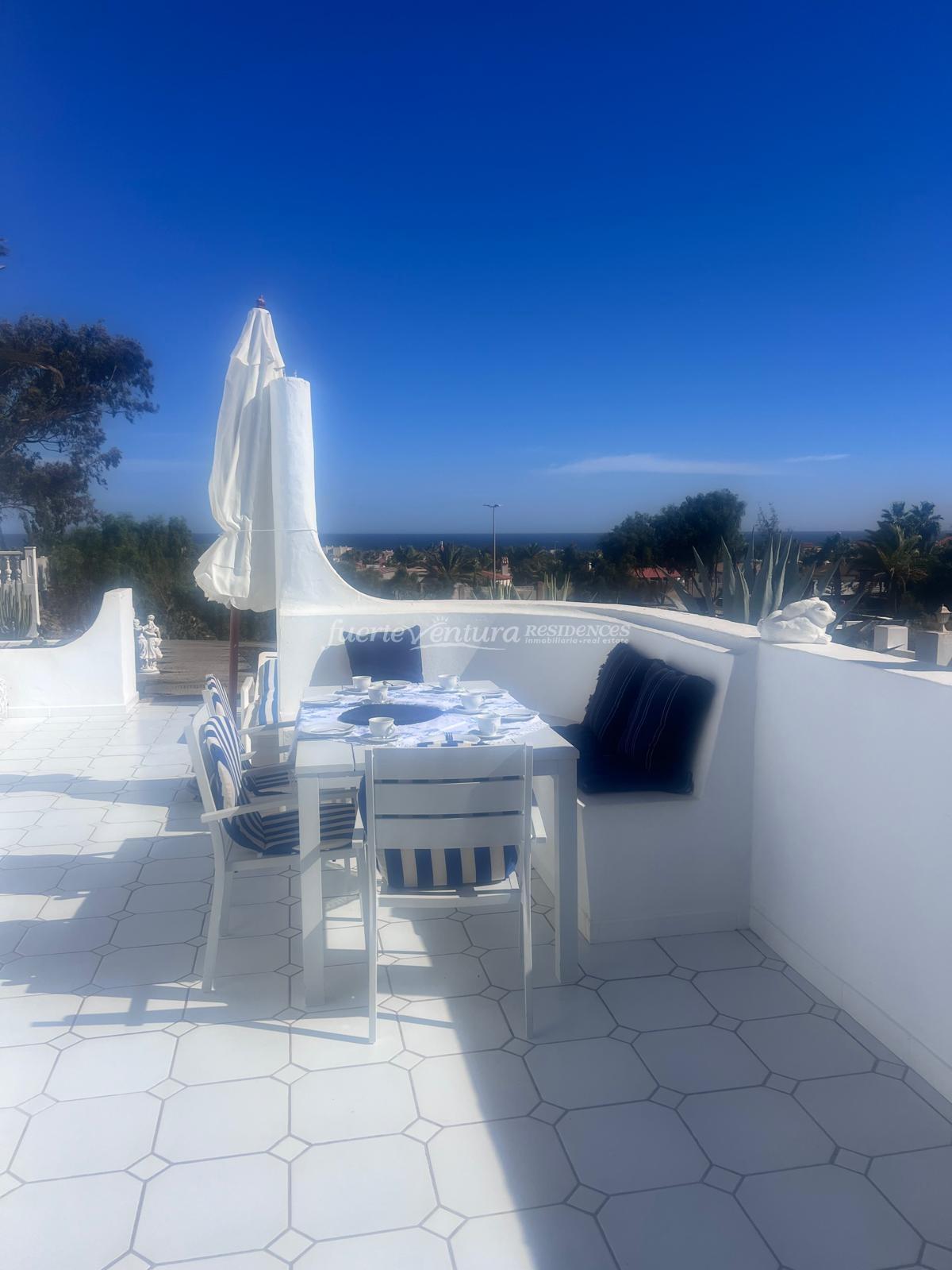 WhatsApp Image 2026-02-07 at 19.40.44