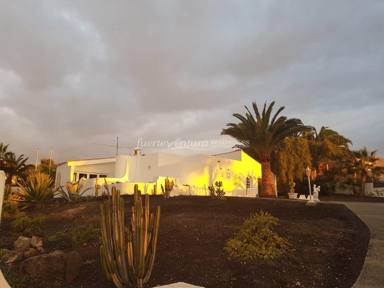 WhatsApp Image 2026-02-07 at 19.41.45