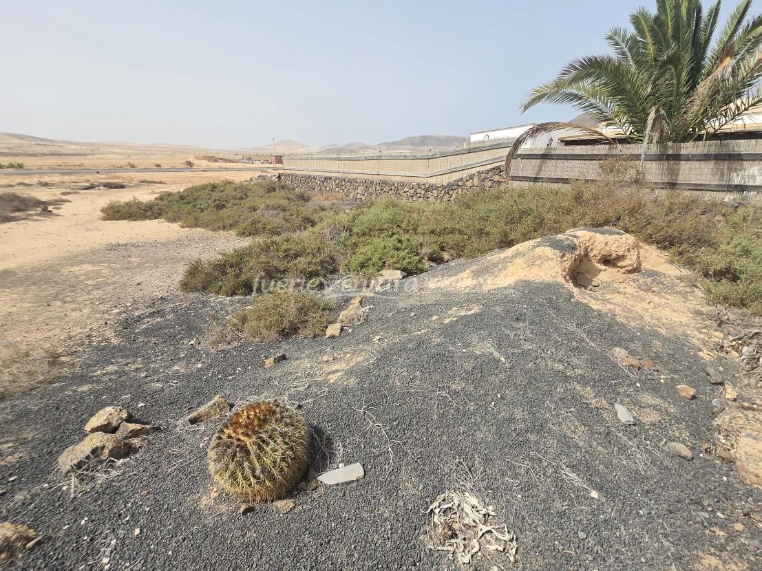 3ce05e09-b473-455d-859a-5ccaa2e9ca19