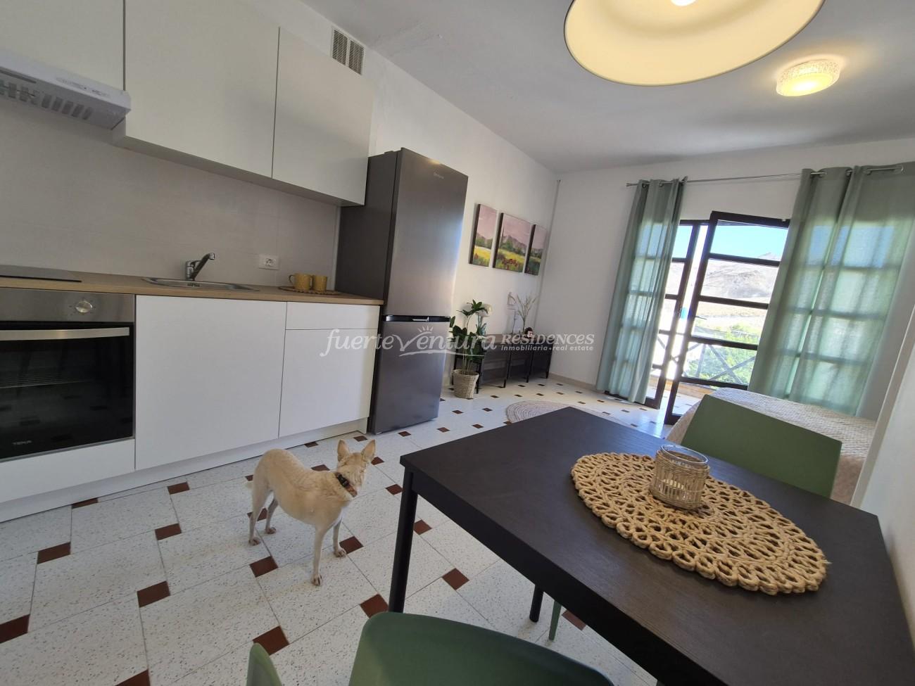 WhatsApp Image 2025-12-30 at 17.41.09 (1)