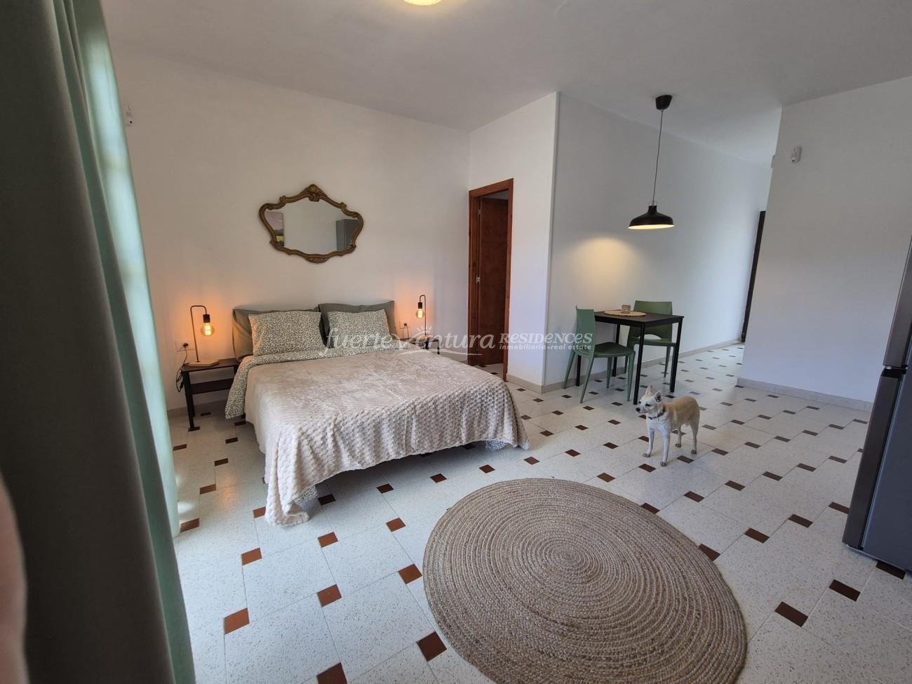 WhatsApp Image 2025-12-30 at 17.41.10