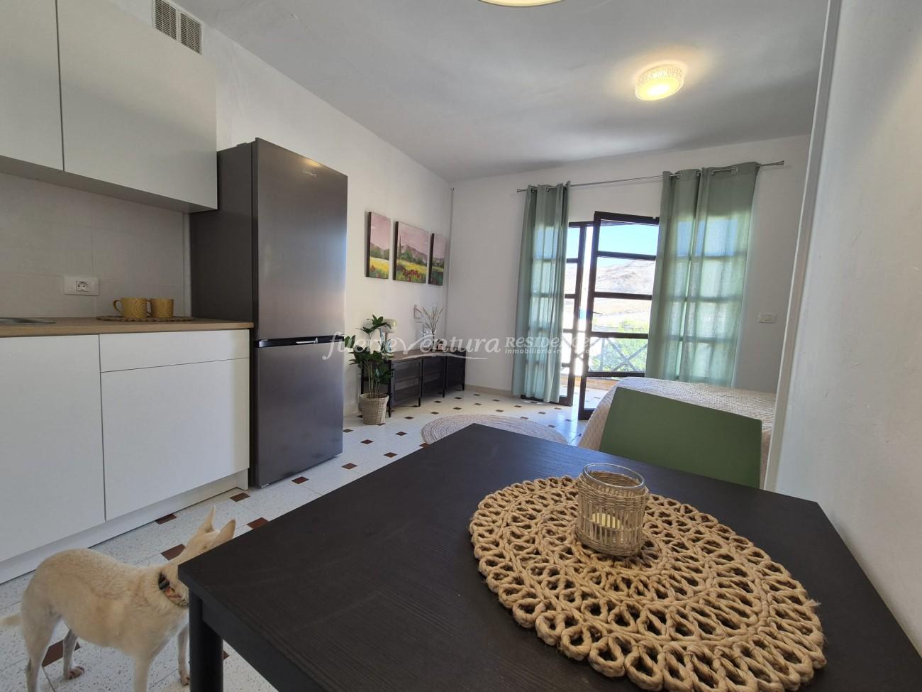 WhatsApp Image 2025-12-30 at 17.41.11 (1)