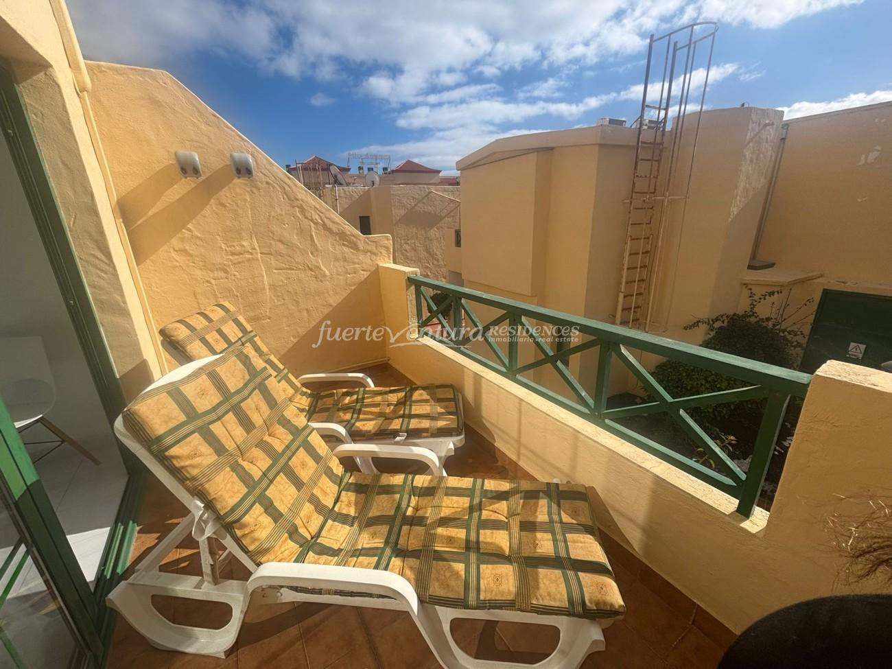 WhatsApp Image 2026-01-29 at 15.19.01 (1)