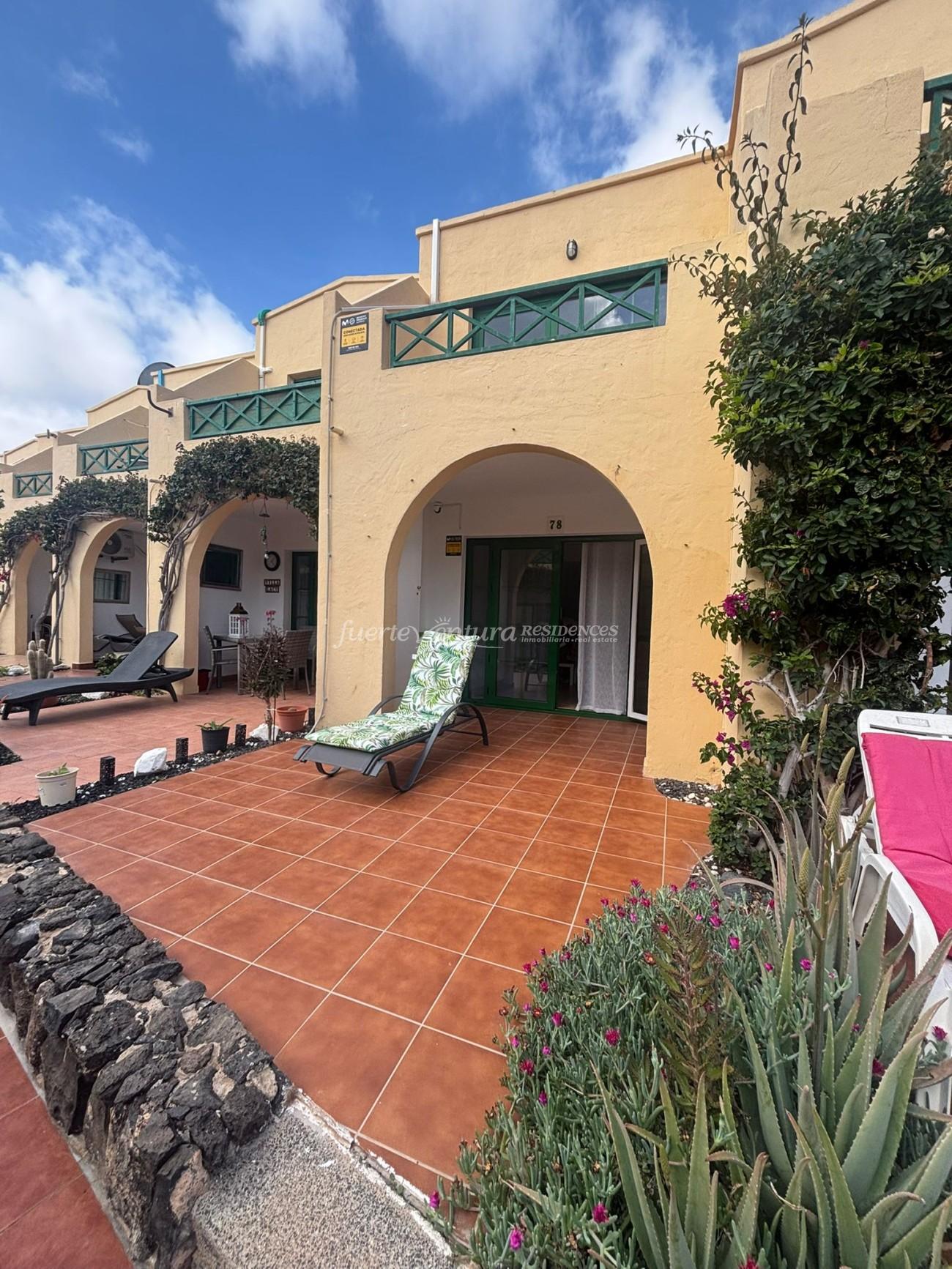 WhatsApp Image 2026-02-03 at 11.05.44