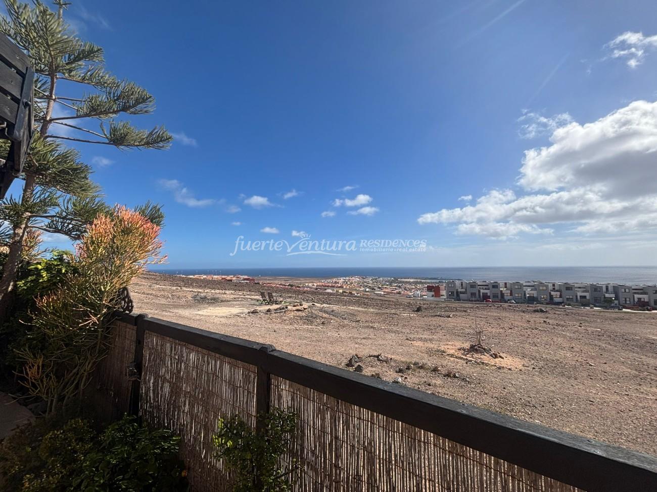 WhatsApp Image 2026-02-06 at 12.43.06 (3)