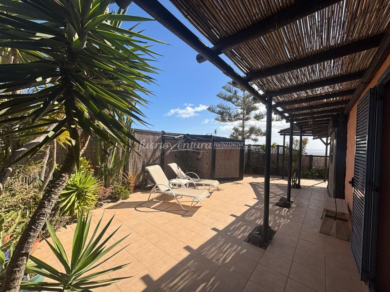 WhatsApp Image 2026-02-06 at 12.43.09