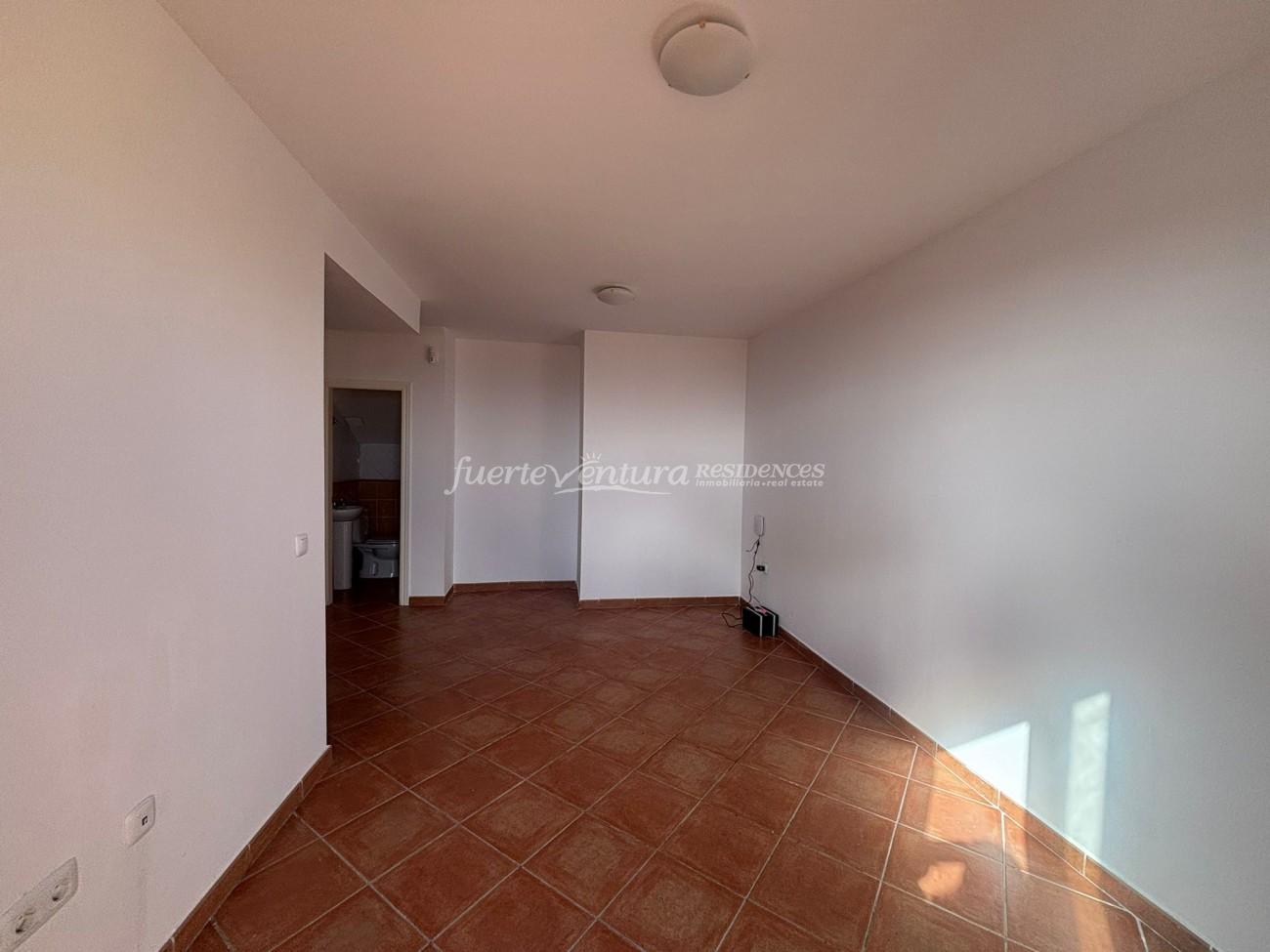 WhatsApp Image 2026-02-11 at 10.46.12