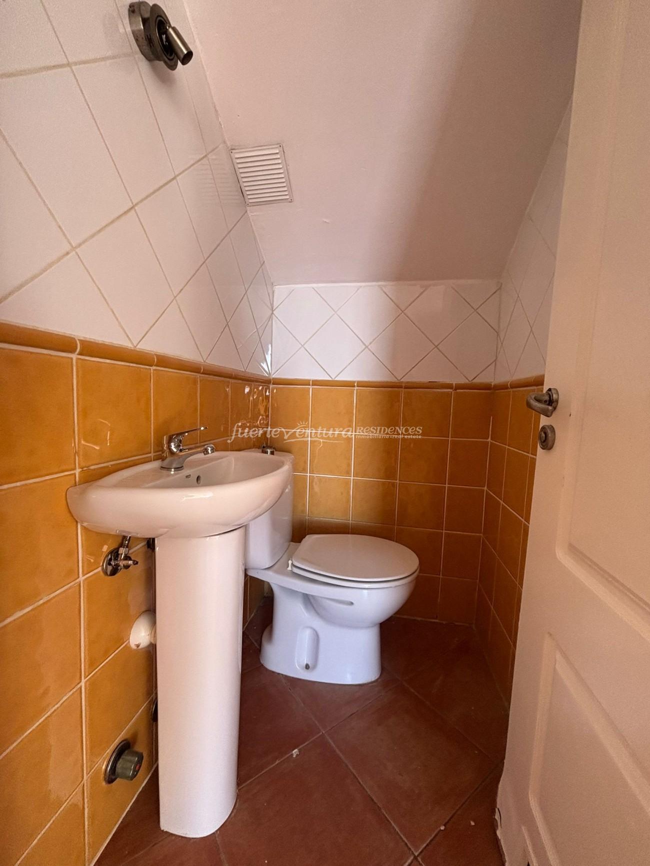 WhatsApp Image 2026-02-11 at 10.46.13 (1)