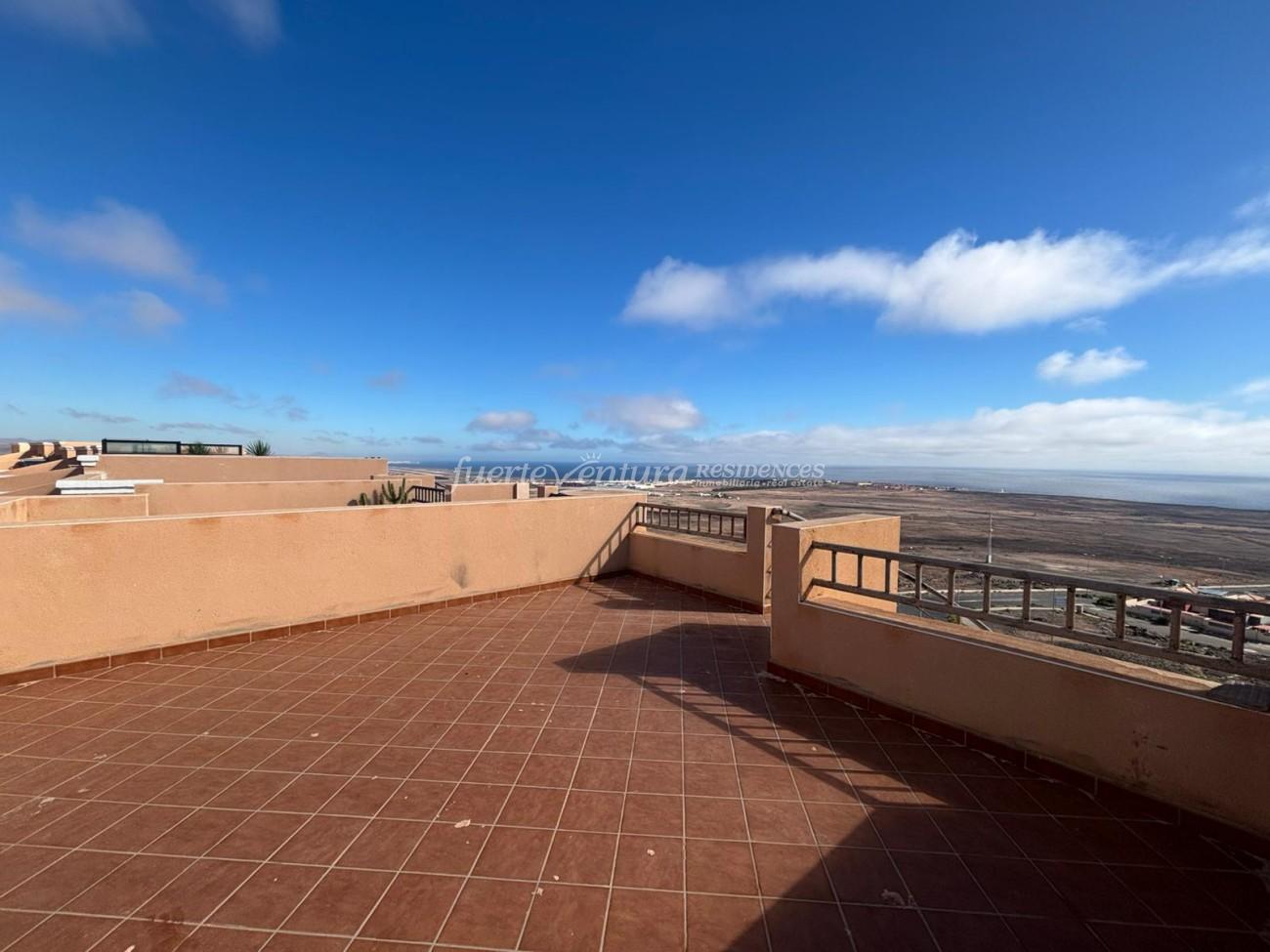 WhatsApp Image 2026-02-11 at 10.46.15 (3)