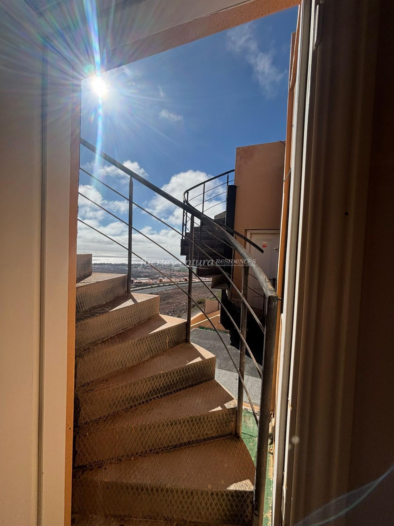 WhatsApp Image 2026-02-11 at 10.46.15