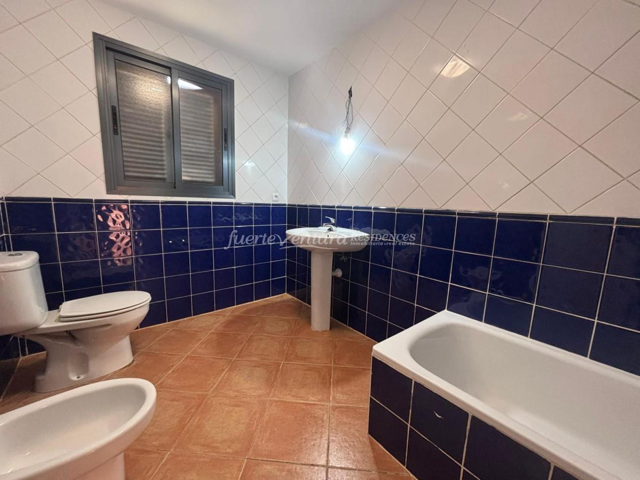 WhatsApp Image 2026-02-11 at 10.46.16