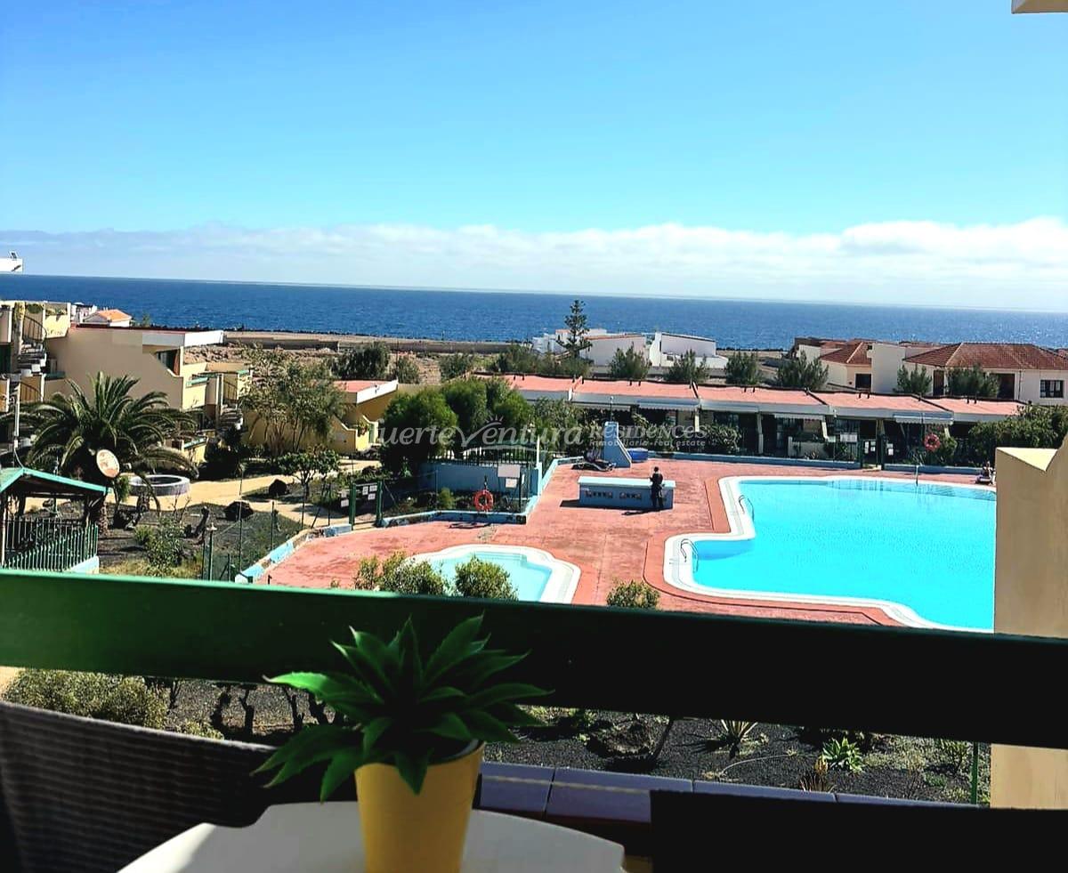 WhatsApp Image 2026-02-13 at 12.39.36