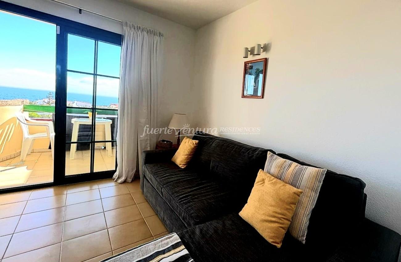 WhatsApp Image 2026-02-13 at 12.39.37 (2)