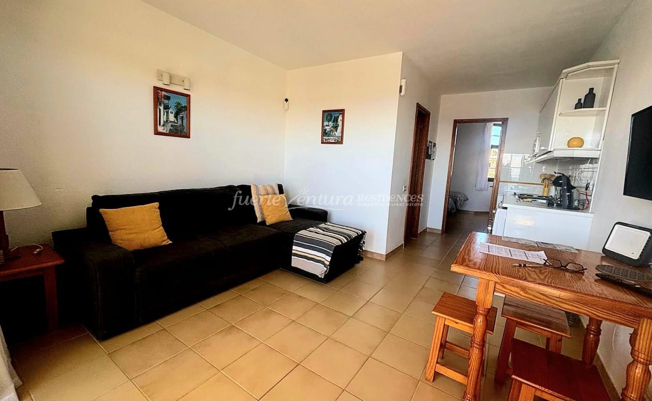 WhatsApp Image 2026-02-13 at 12.39.37 (1)