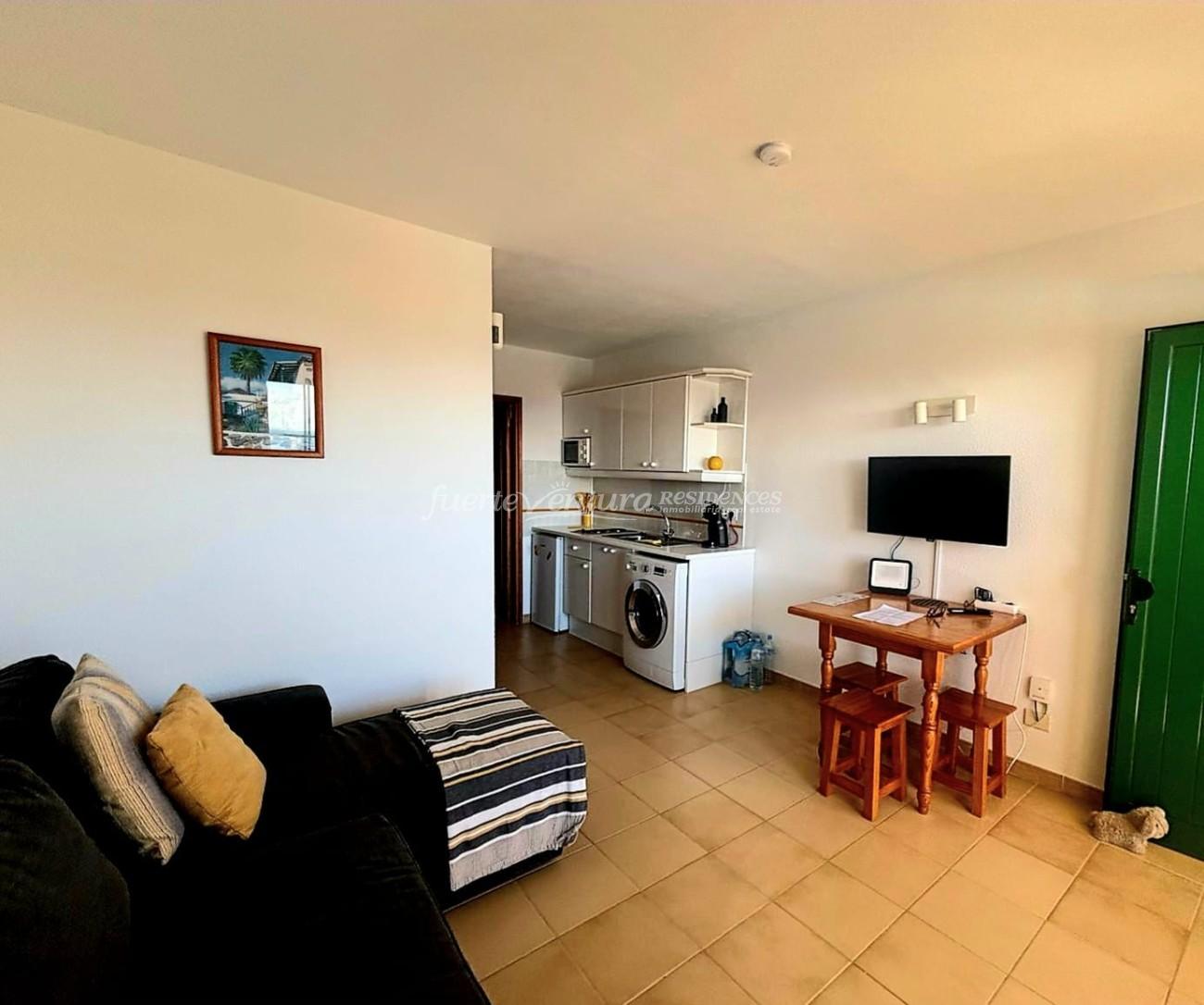 WhatsApp Image 2026-02-13 at 12.39.37