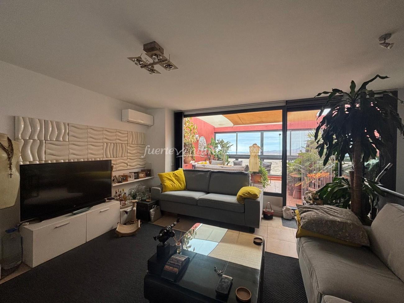 WhatsApp Image 2026-03-02 at 11.37.34 (1)