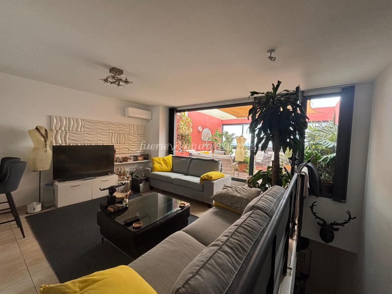 WhatsApp Image 2026-03-02 at 11.37.34 (2)