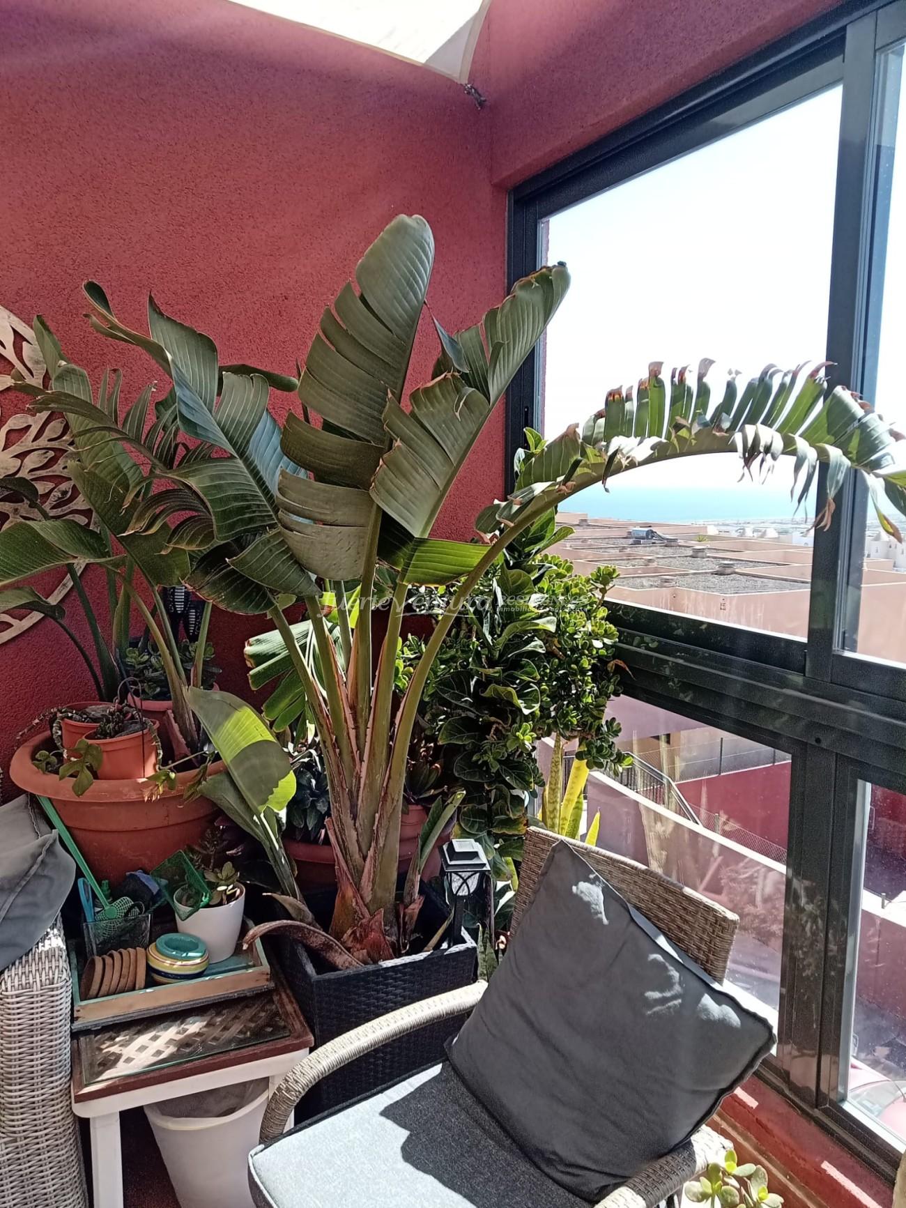 WhatsApp Image 2026-03-02 at 12.18.30 (2)