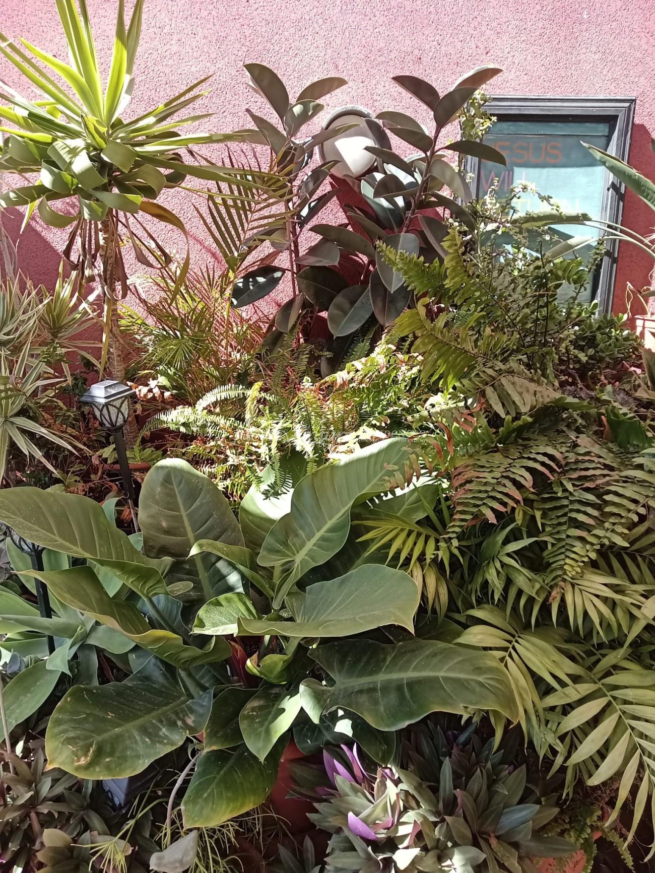 WhatsApp Image 2026-03-02 at 12.18.30