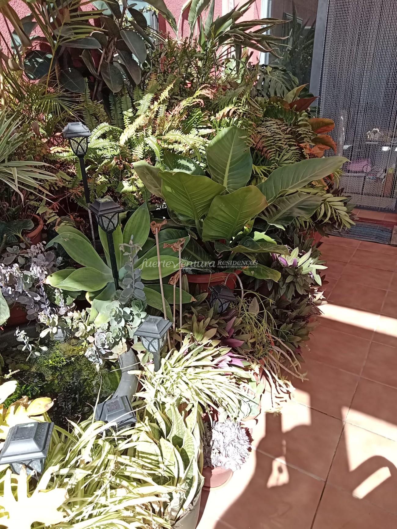 WhatsApp Image 2026-03-02 at 12.18.31 (2)