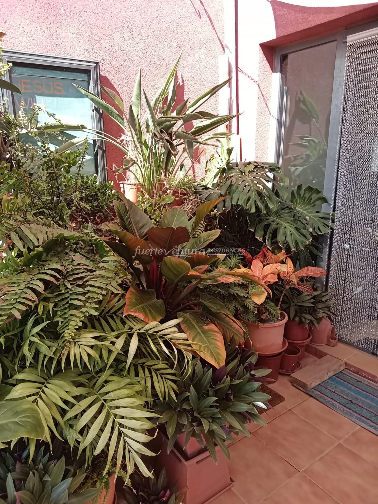 WhatsApp Image 2026-03-02 at 12.18.31