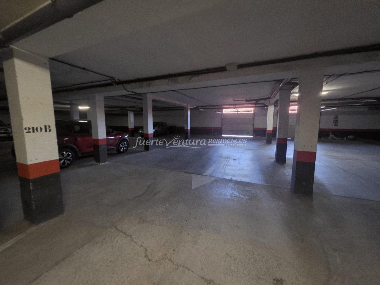 WhatsApp Image 2026-03-15 at 15.35.39 (1)