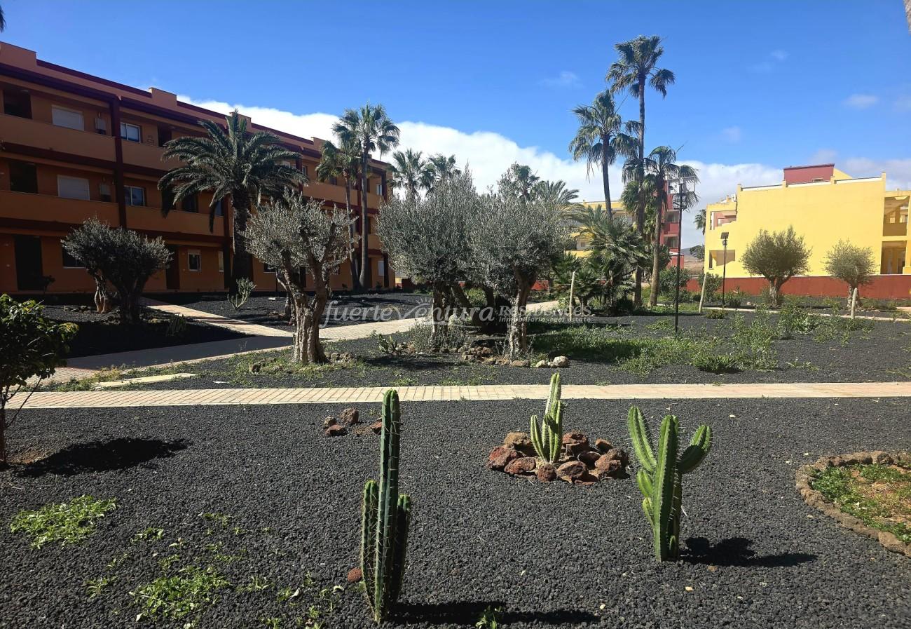 WhatsApp Image 2026-03-15 at 15.35.40 (2)