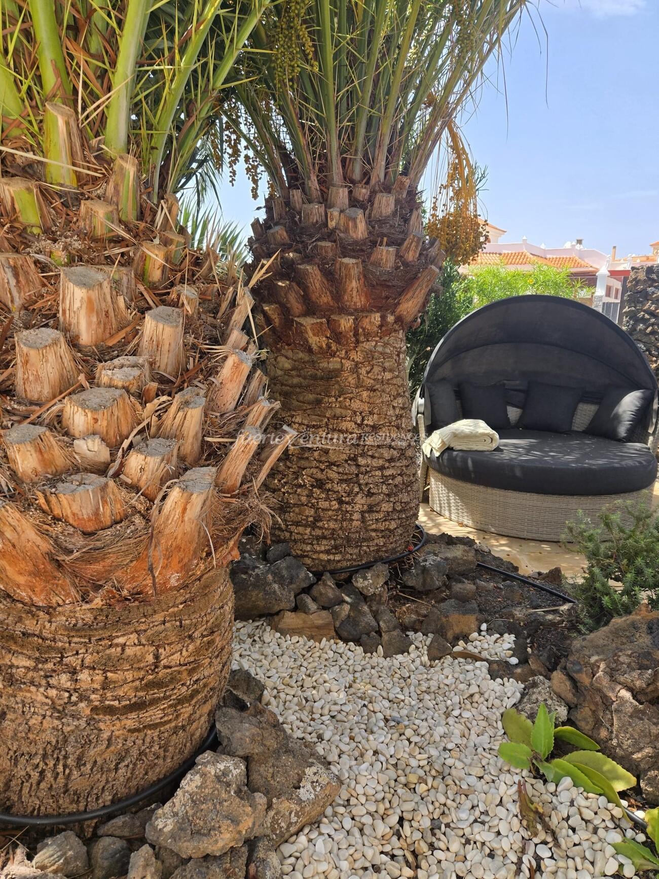 WhatsApp Image 2026-04-23 at 12.31.07 (1)