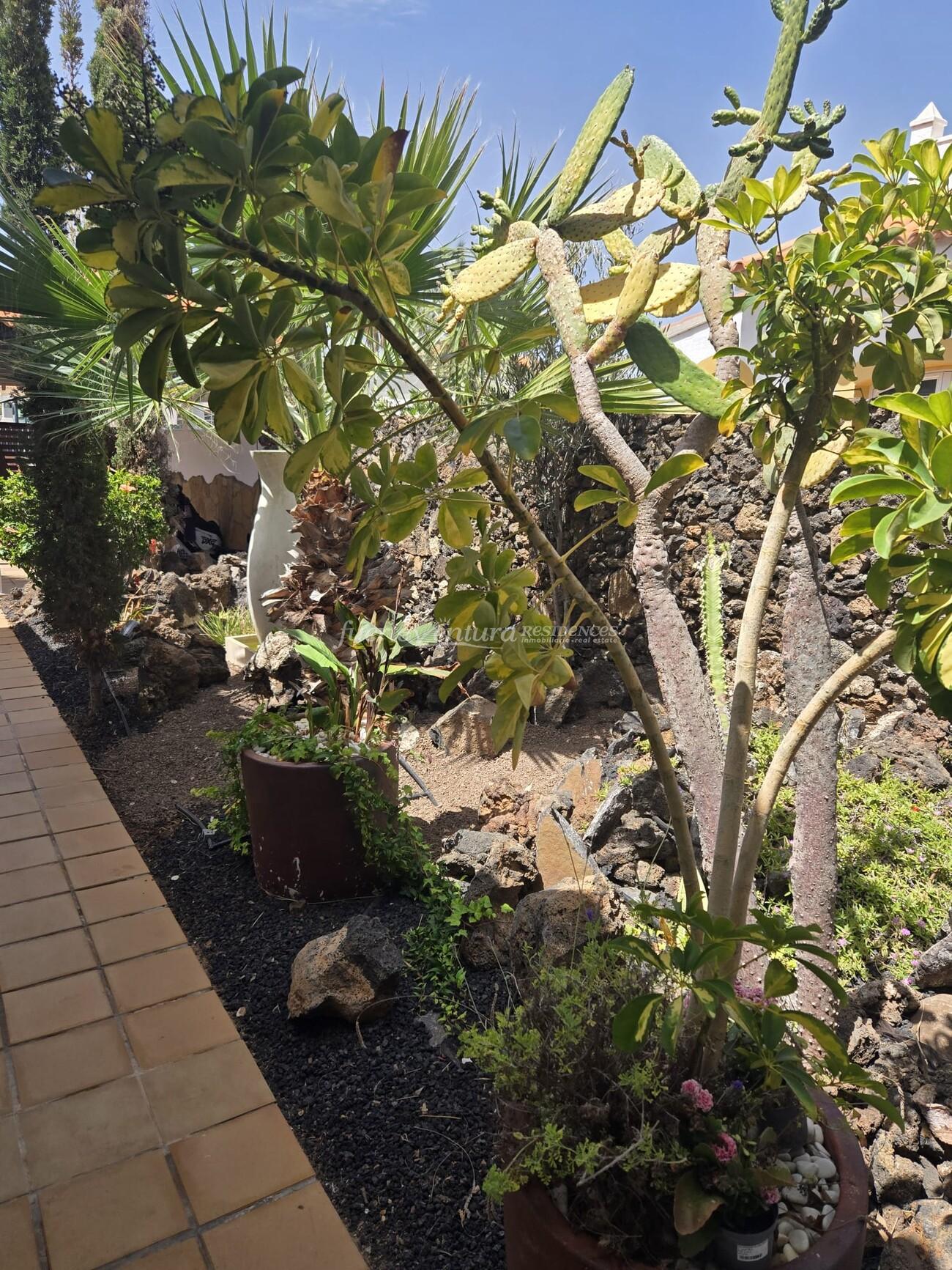 WhatsApp Image 2026-04-23 at 12.31.08 (1)