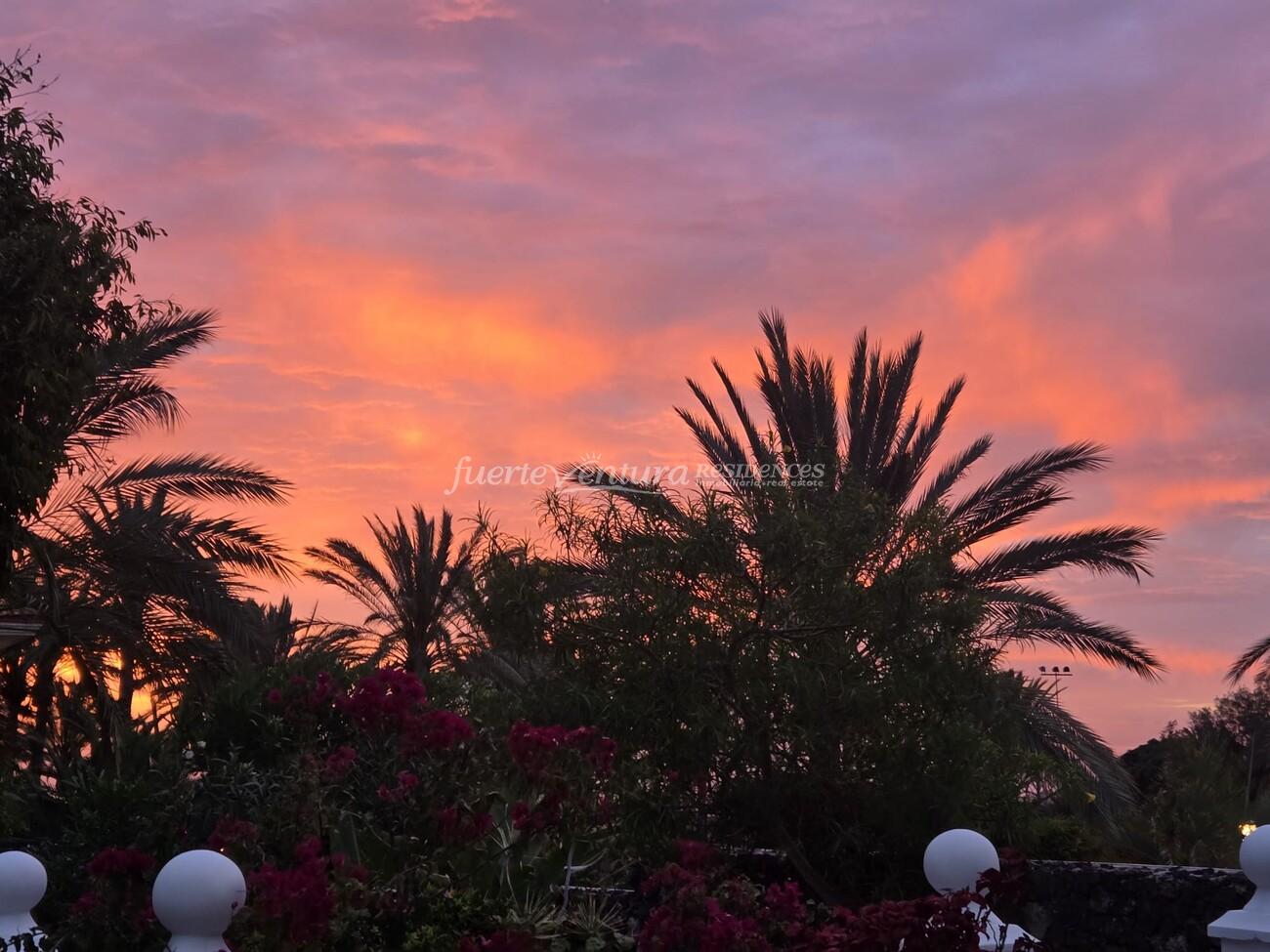 WhatsApp Image 2026-04-23 at 12.31.08 (3)