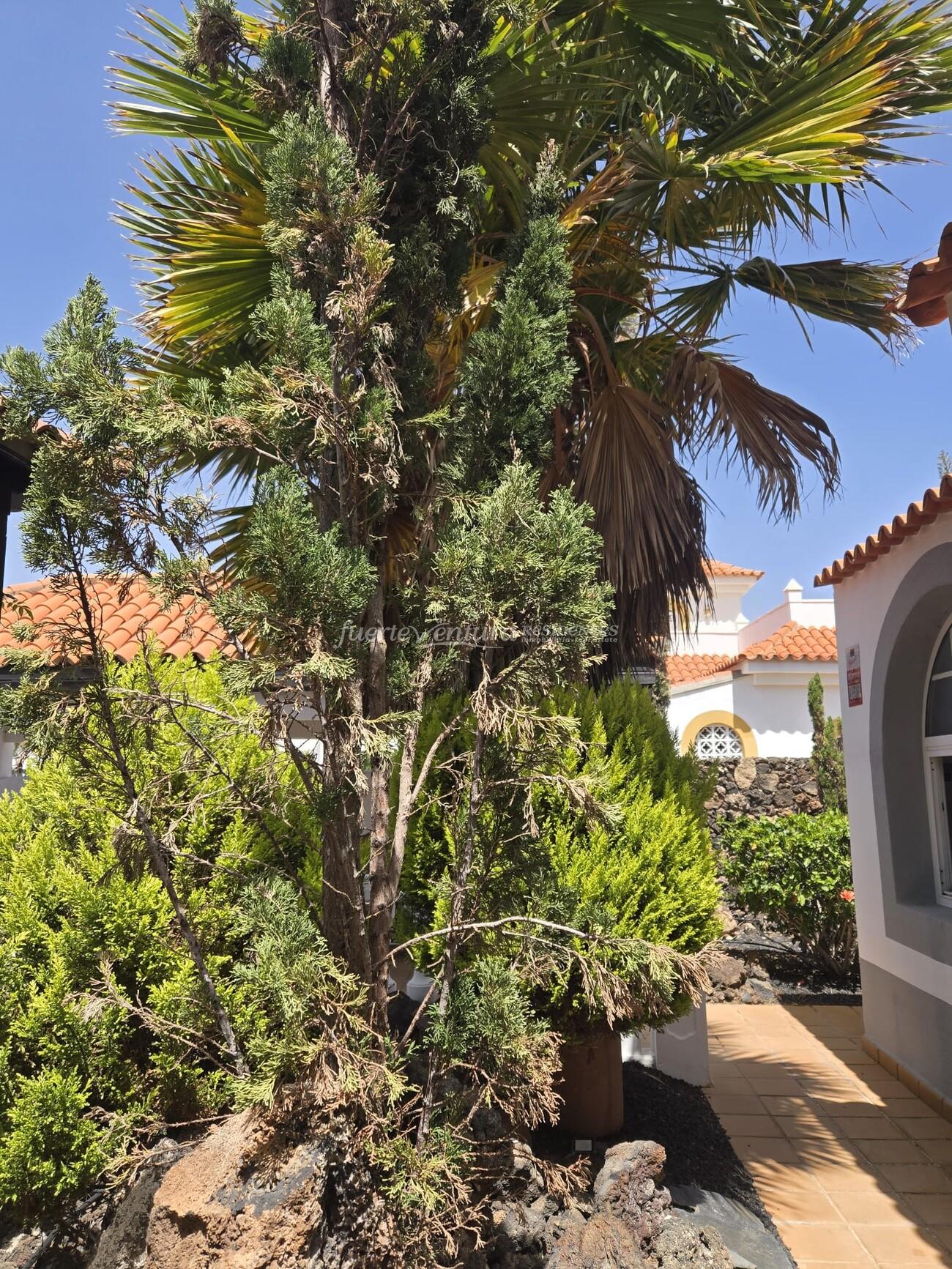 WhatsApp Image 2026-04-23 at 12.31.09 (2)