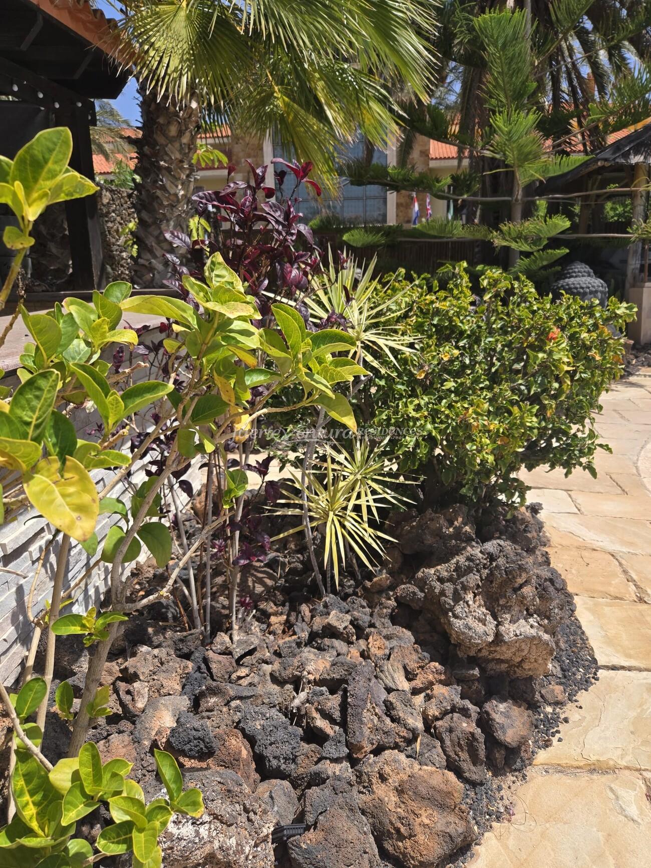 WhatsApp Image 2026-04-23 at 12.31.10 (2)