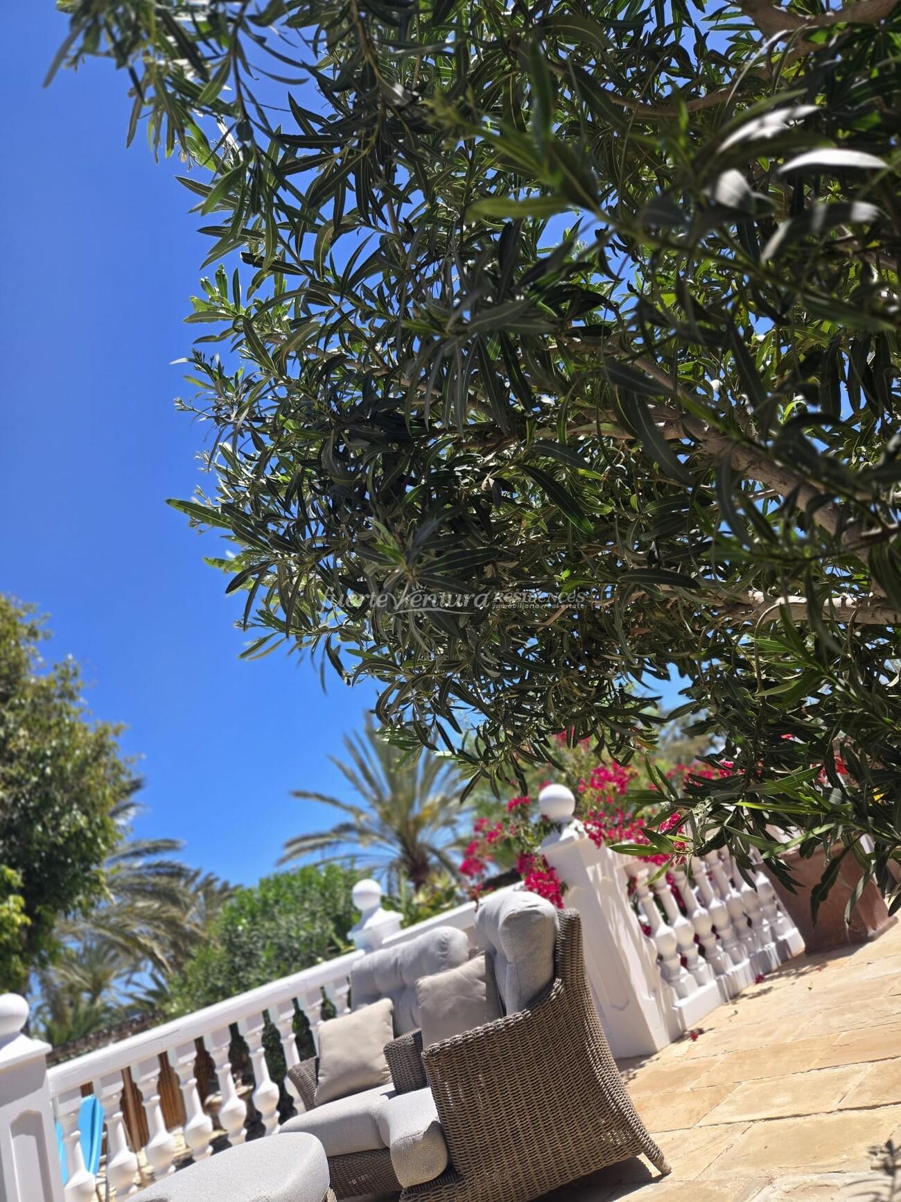 WhatsApp Image 2026-04-23 at 12.31.12 (3)