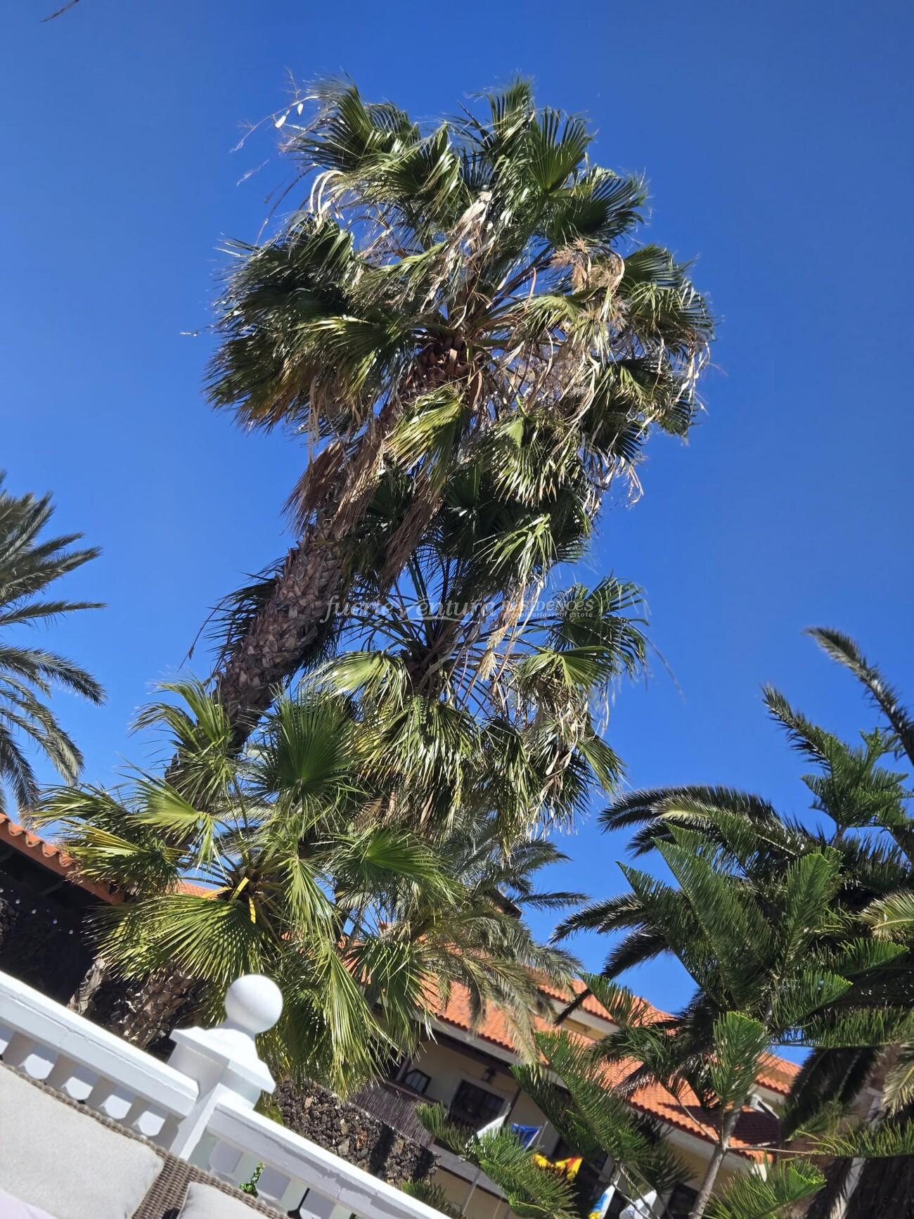 WhatsApp Image 2026-04-23 at 12.31.13 (1)