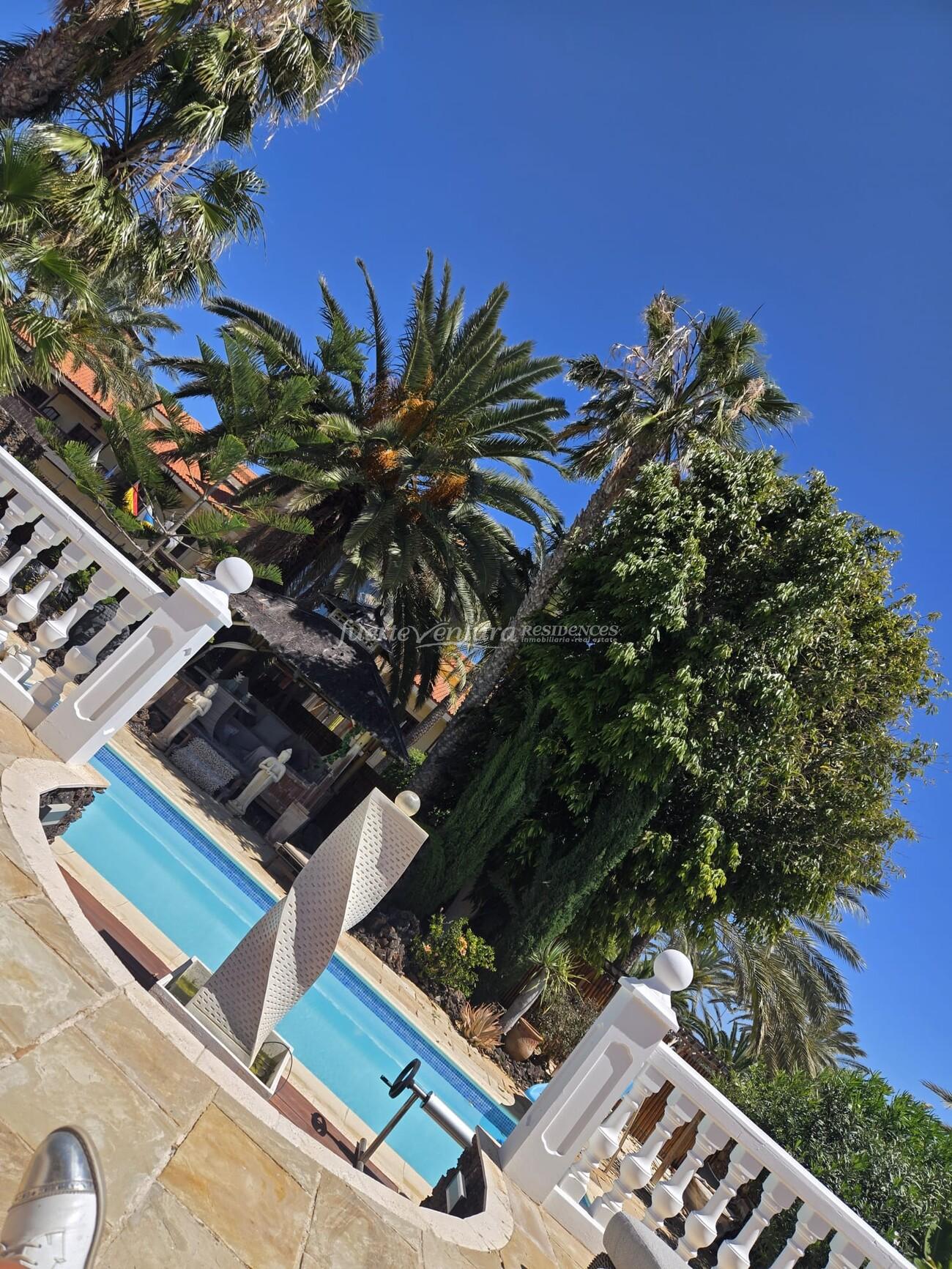 WhatsApp Image 2026-04-23 at 12.31.13 (3)