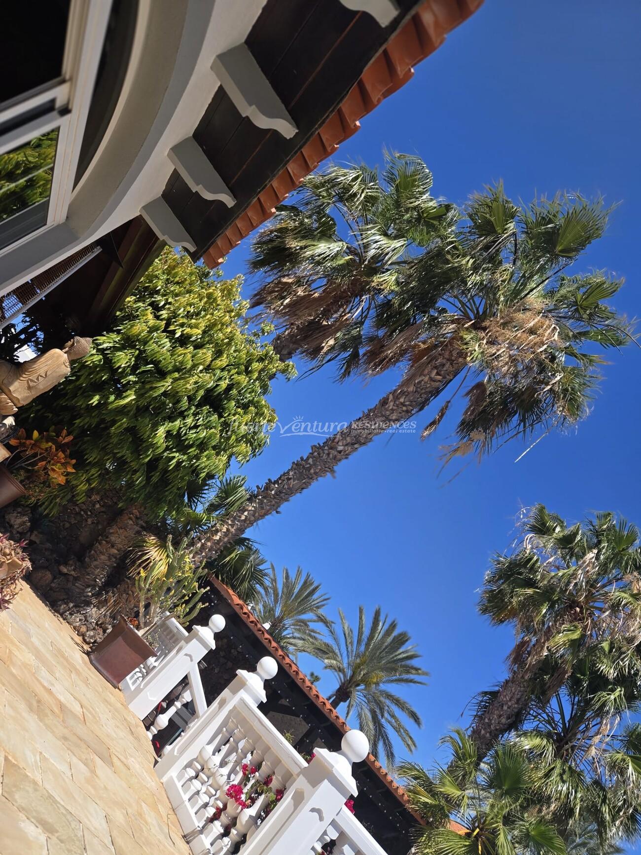 WhatsApp Image 2026-04-23 at 12.31.14 (1)