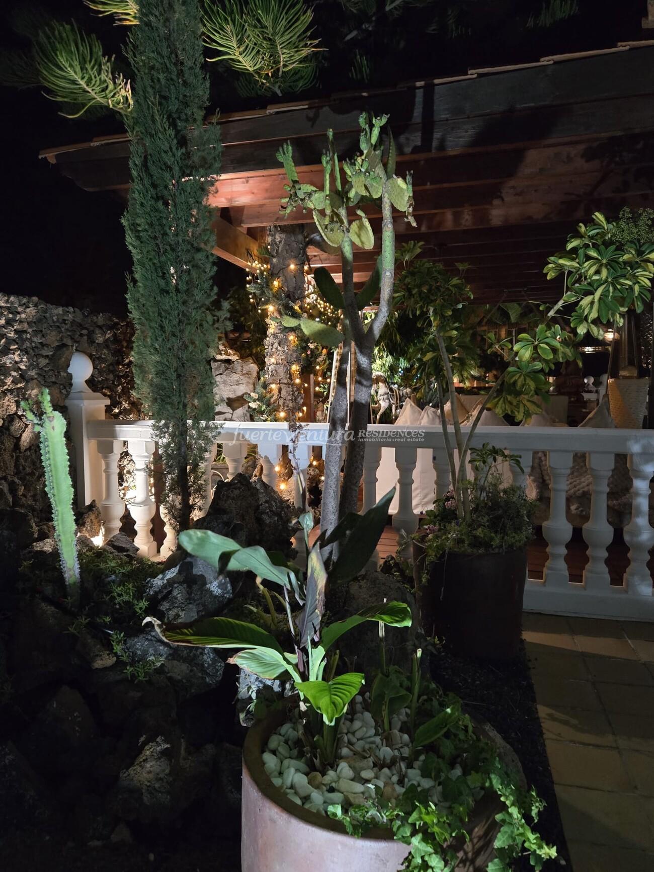 WhatsApp Image 2026-04-23 at 12.31.15 (2)