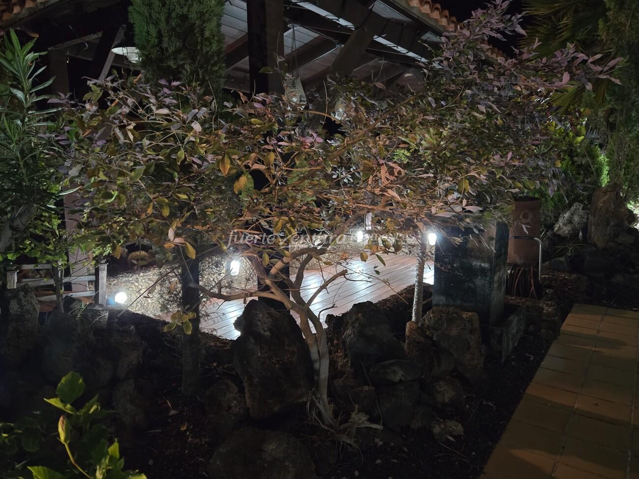 WhatsApp Image 2026-04-23 at 12.31.15 (3)